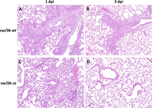 FIG 3