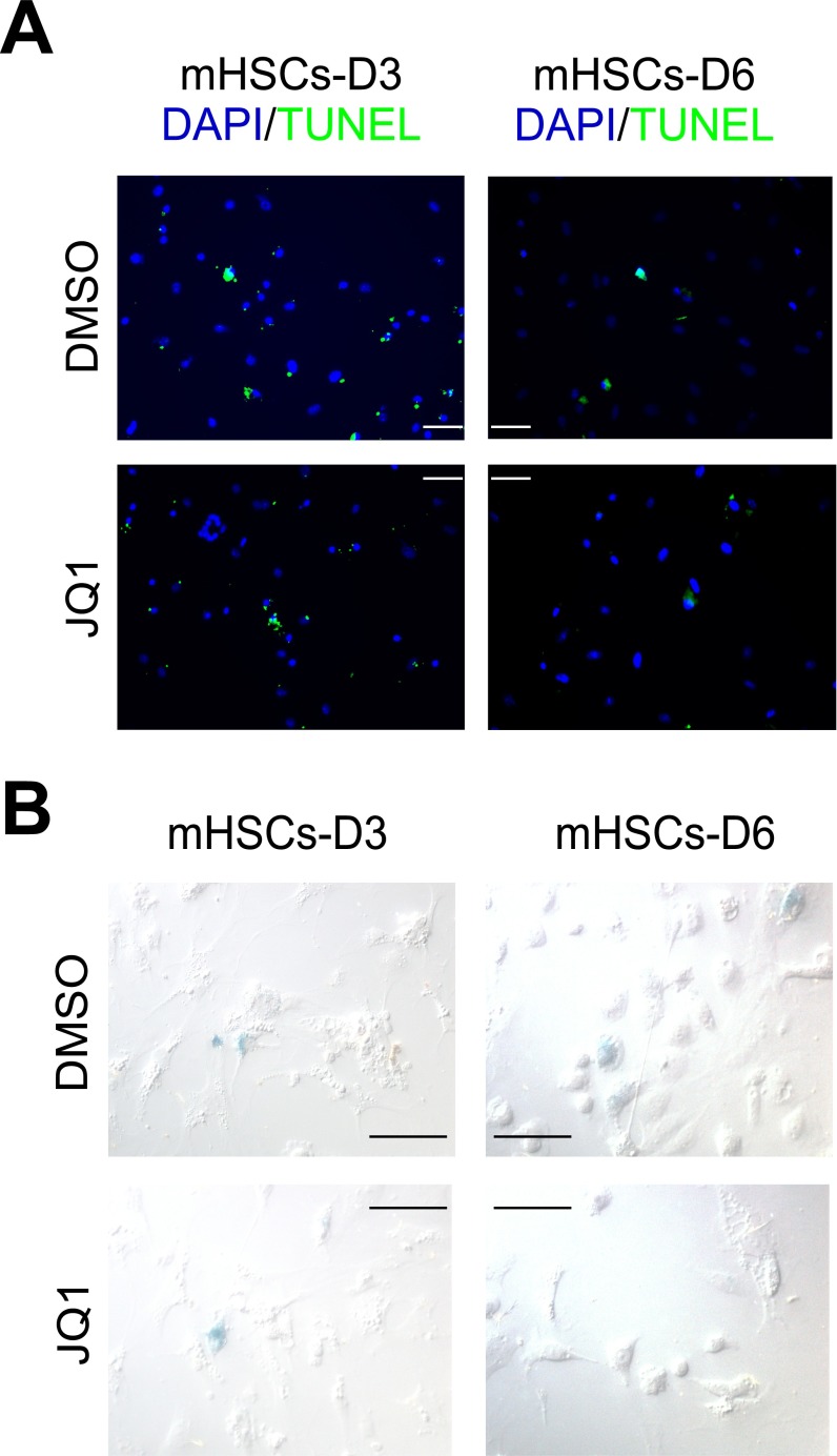 Fig. S3.