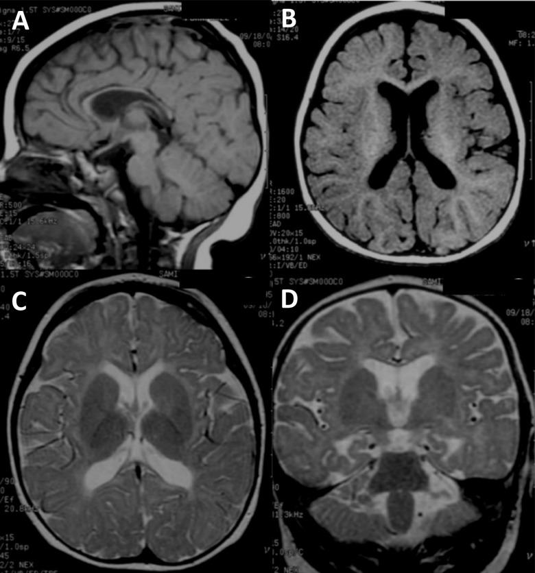 FIGURE 1