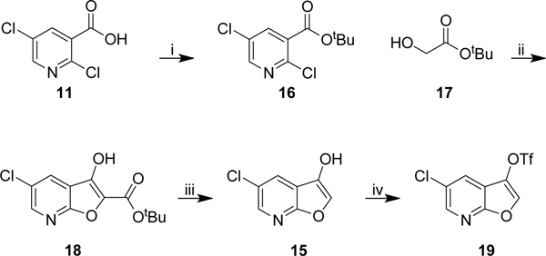 Scheme 3: