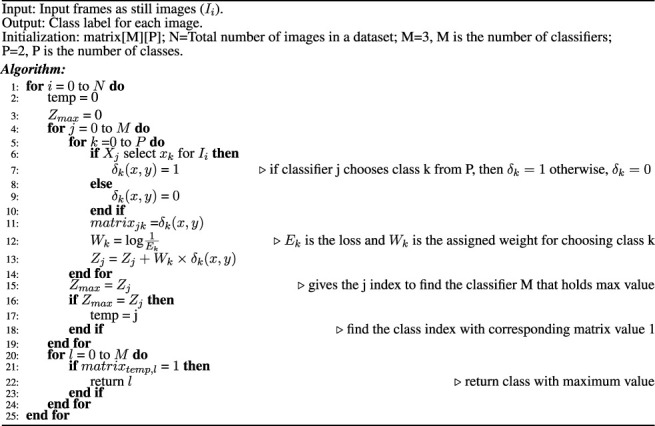 Algorithm 1