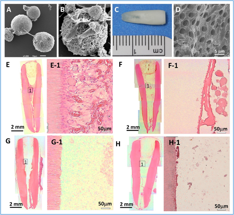 Fig. 9