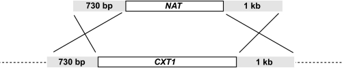 FIGURE 2.