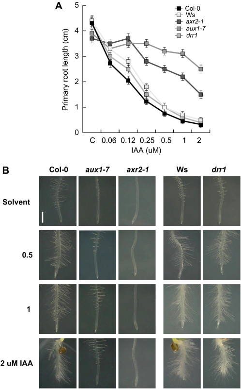 Figure 6.