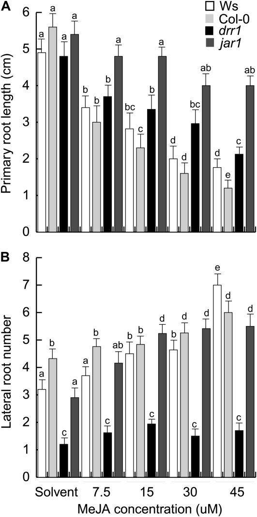 Figure 11.