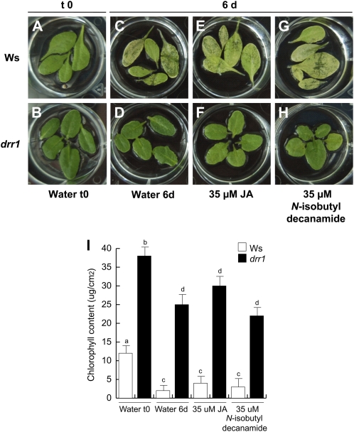 Figure 10.