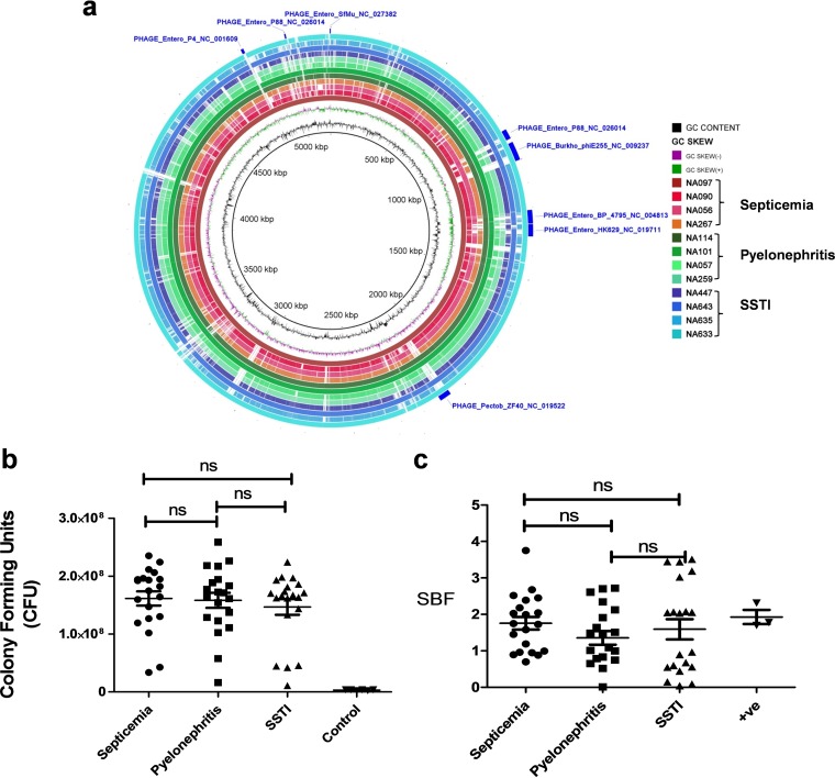 FIG 2 