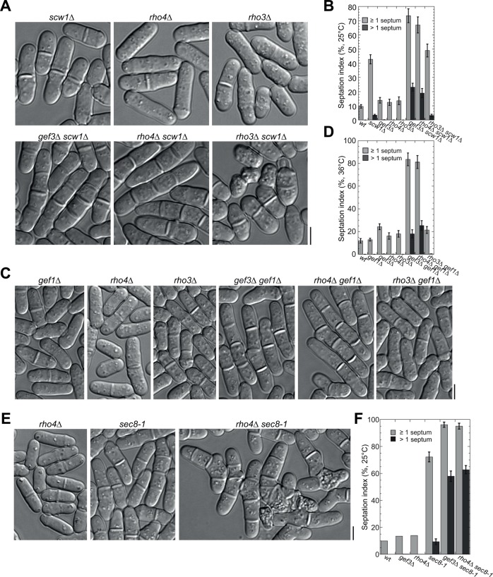 FIGURE 6: