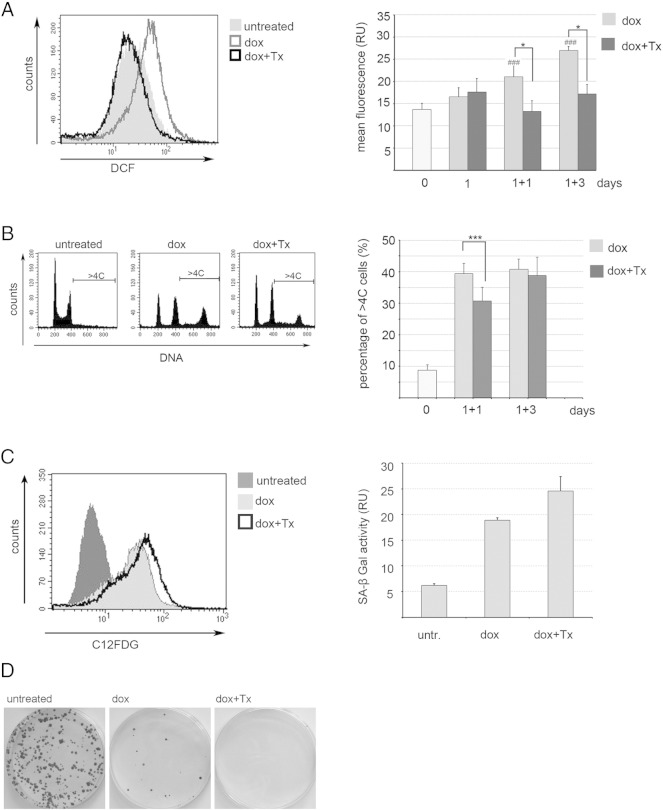 Figure 5