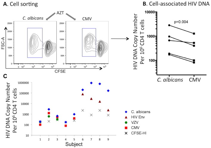 Fig 4