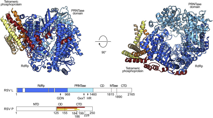 Figure 2