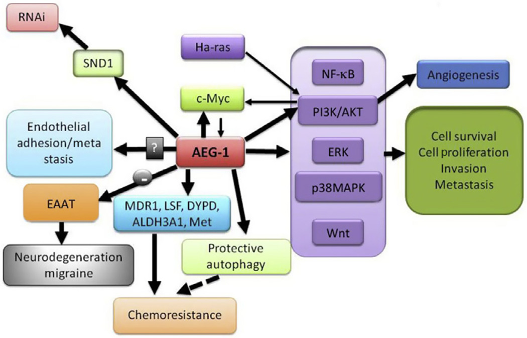 Figure 3.2