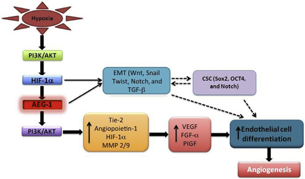 Figure 3.4