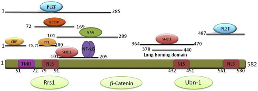 Figure 3.3