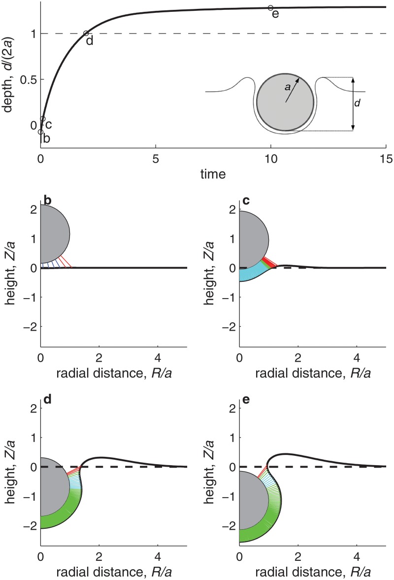 Fig 3