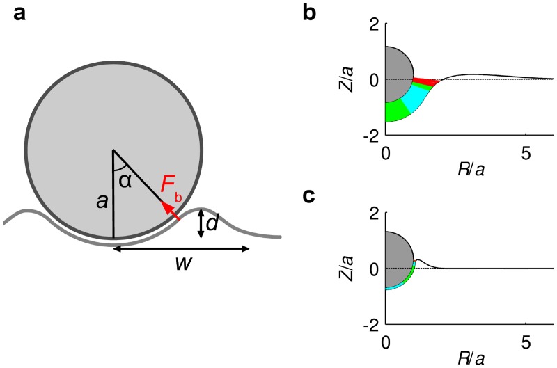 Fig 10