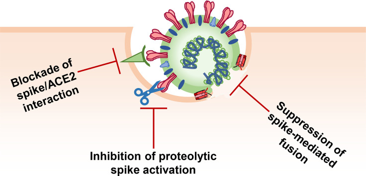 Unlabelled Image