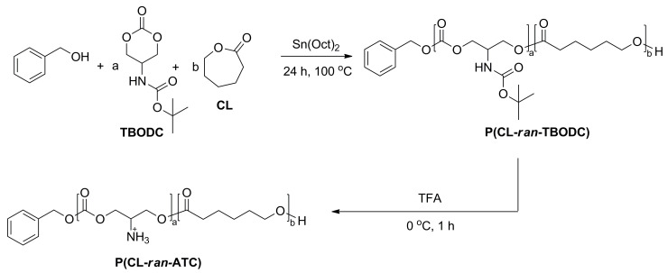 Scheme 2