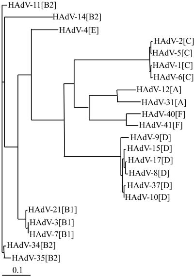 FIG. 1.