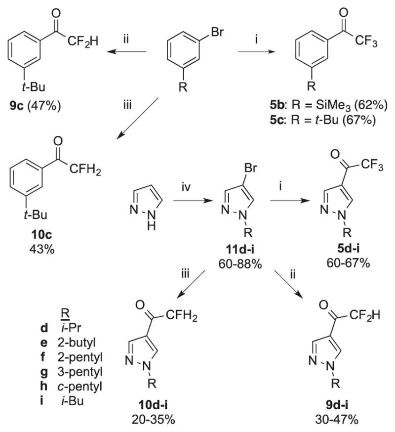 Scheme 1