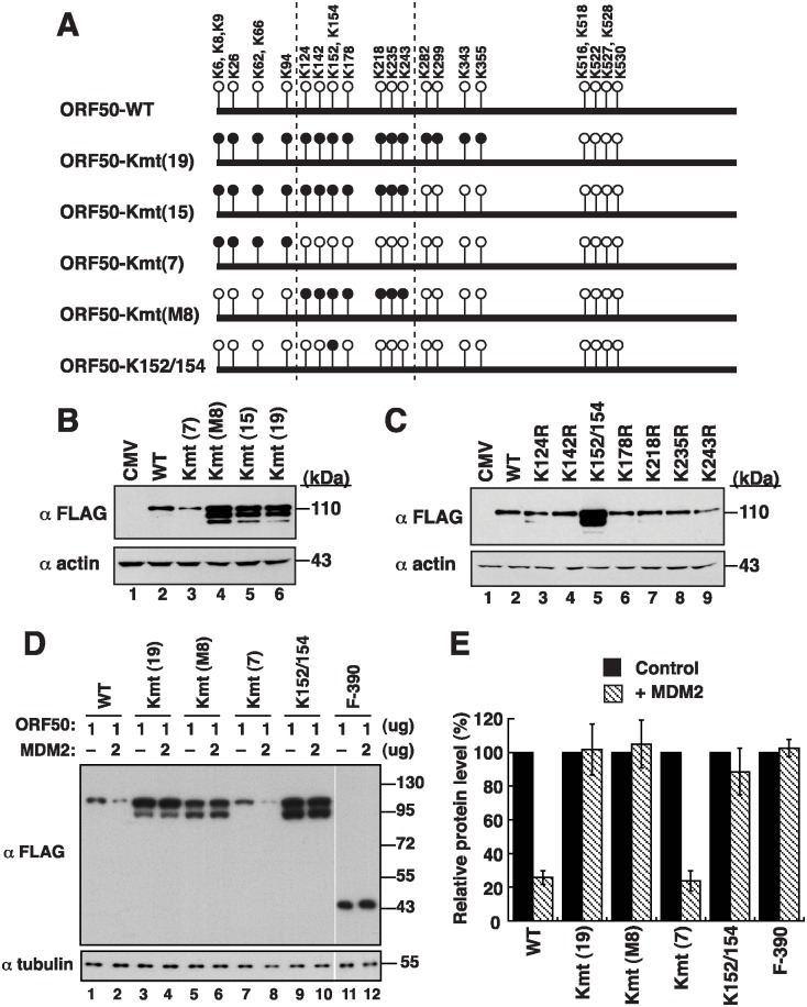 Fig 11