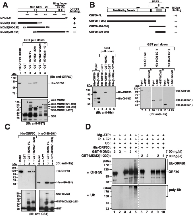 Fig 10