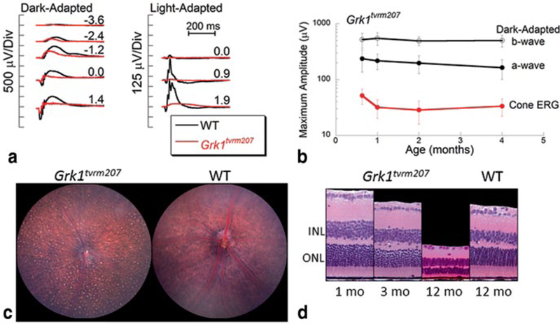 Fig. 24.2