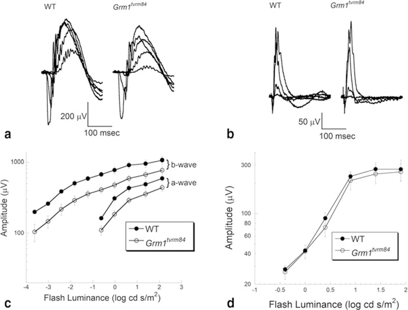 Fig. 24.1