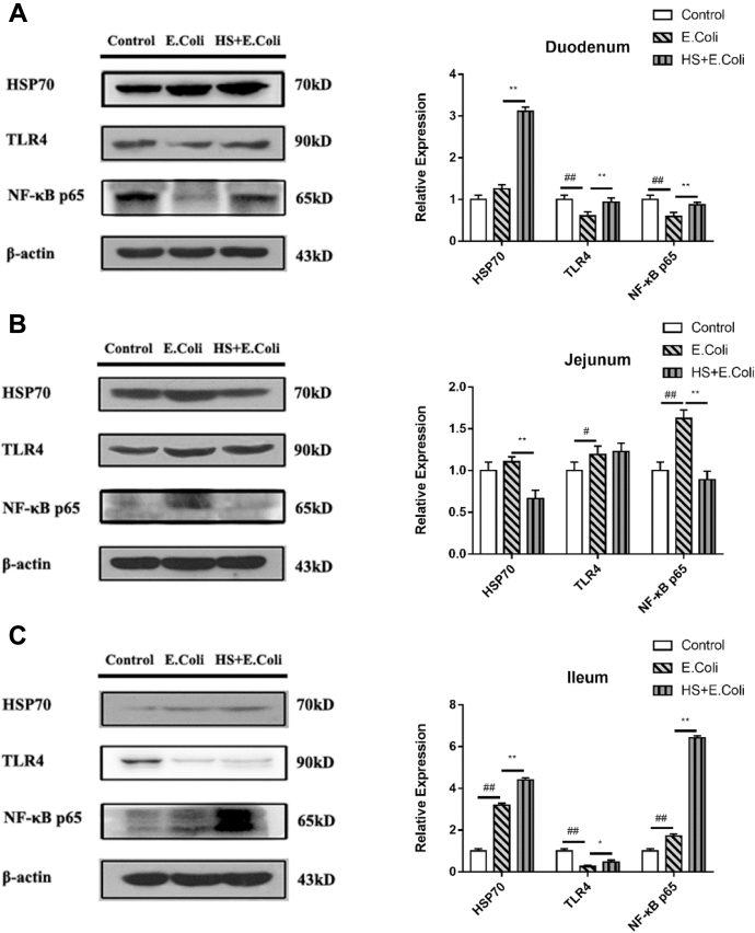 Figure 6