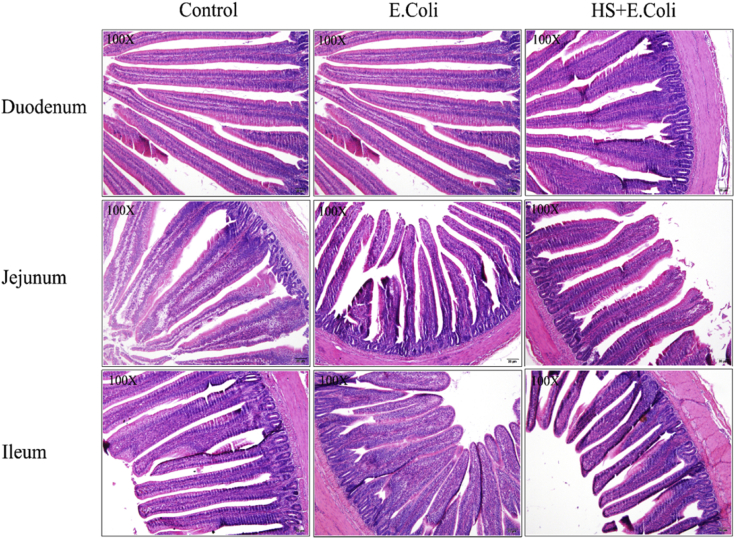 Figure 2