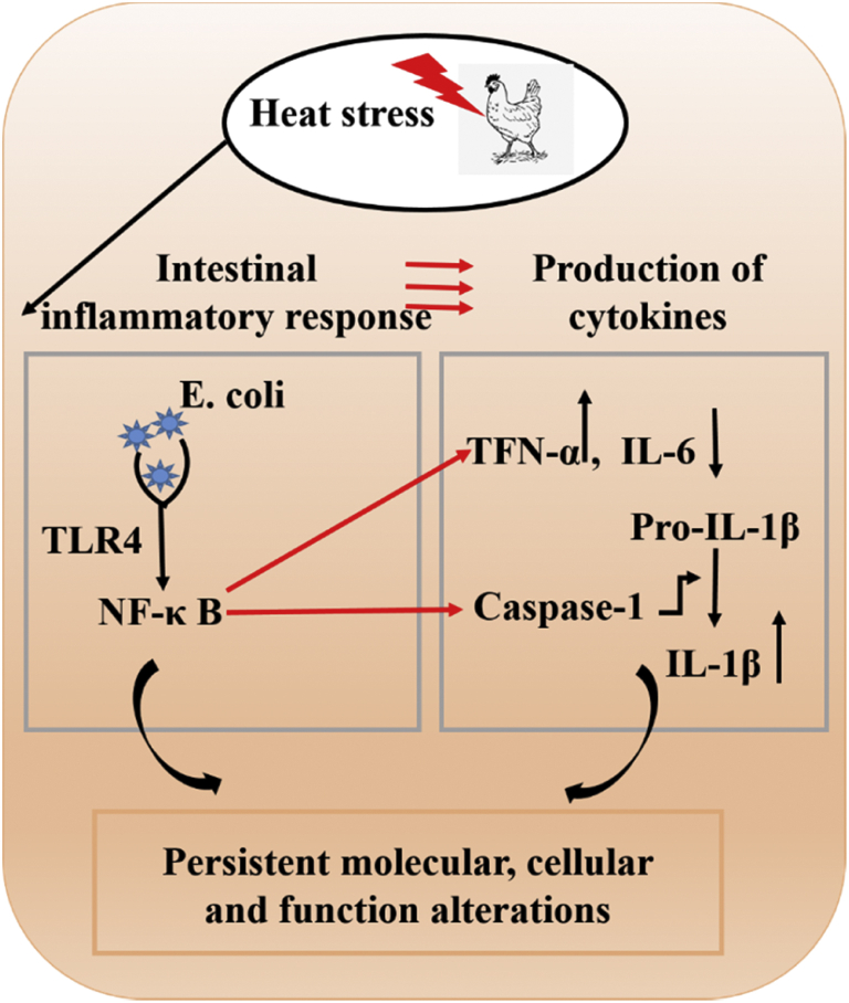 Figure 7