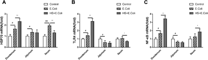 Figure 5