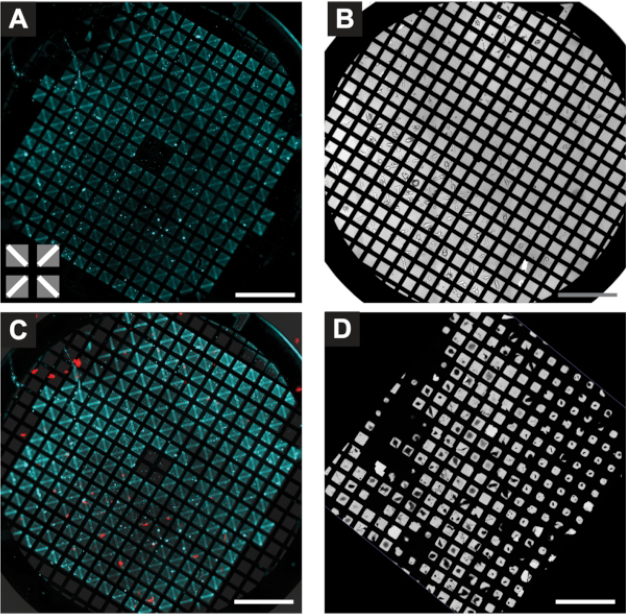 Figure 3: