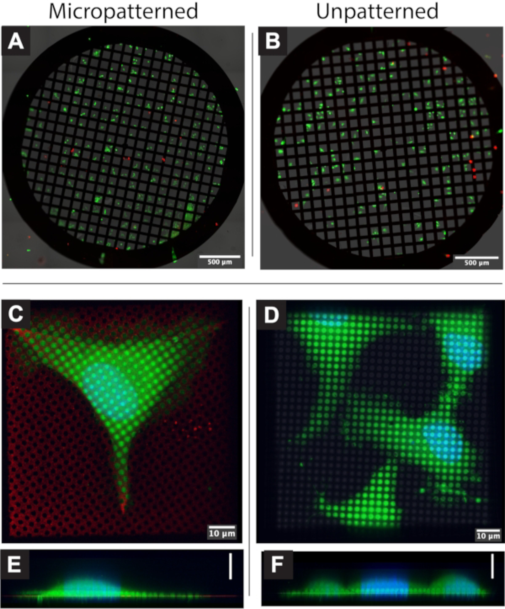 Figure 4: