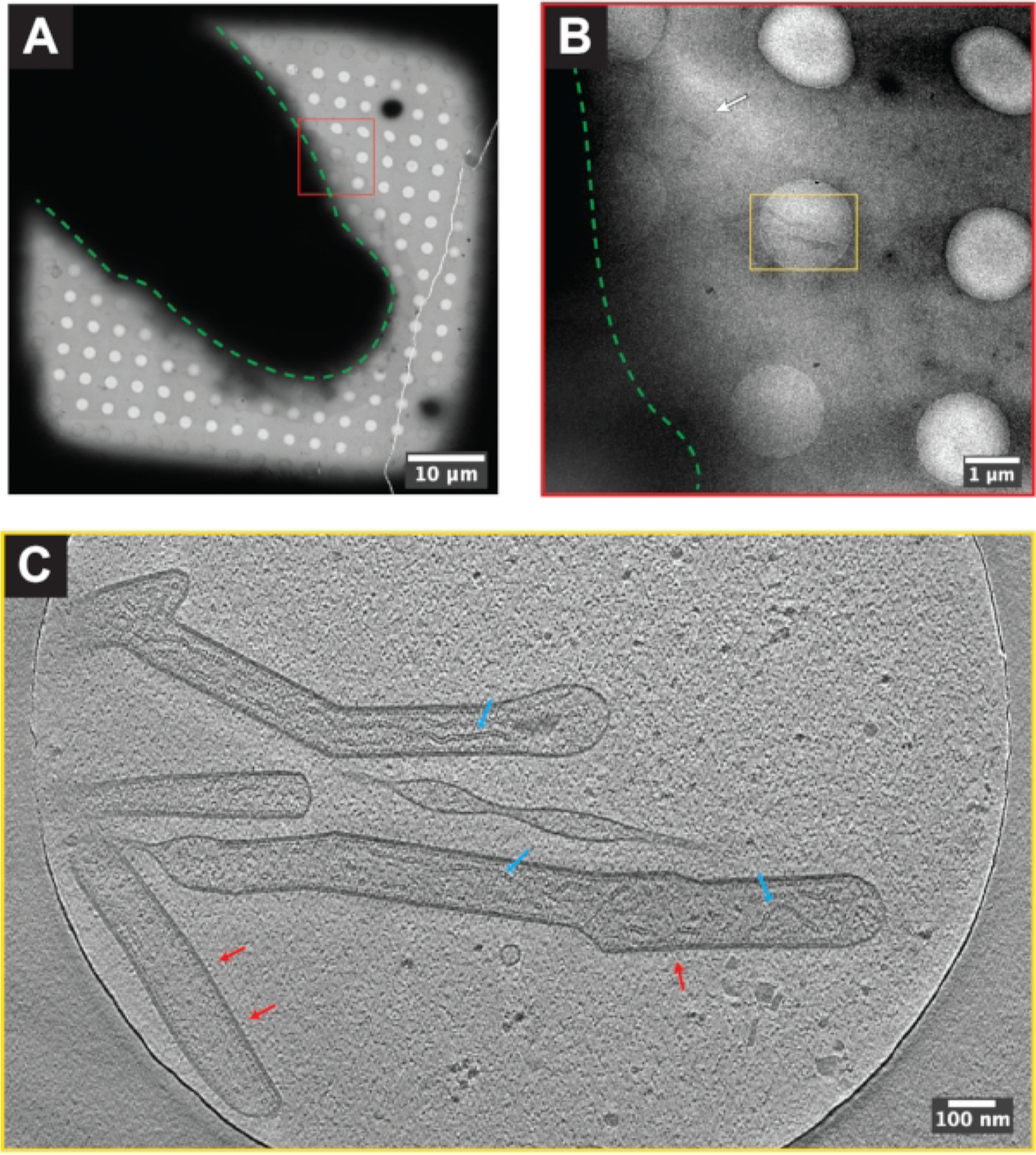 Figure 5: