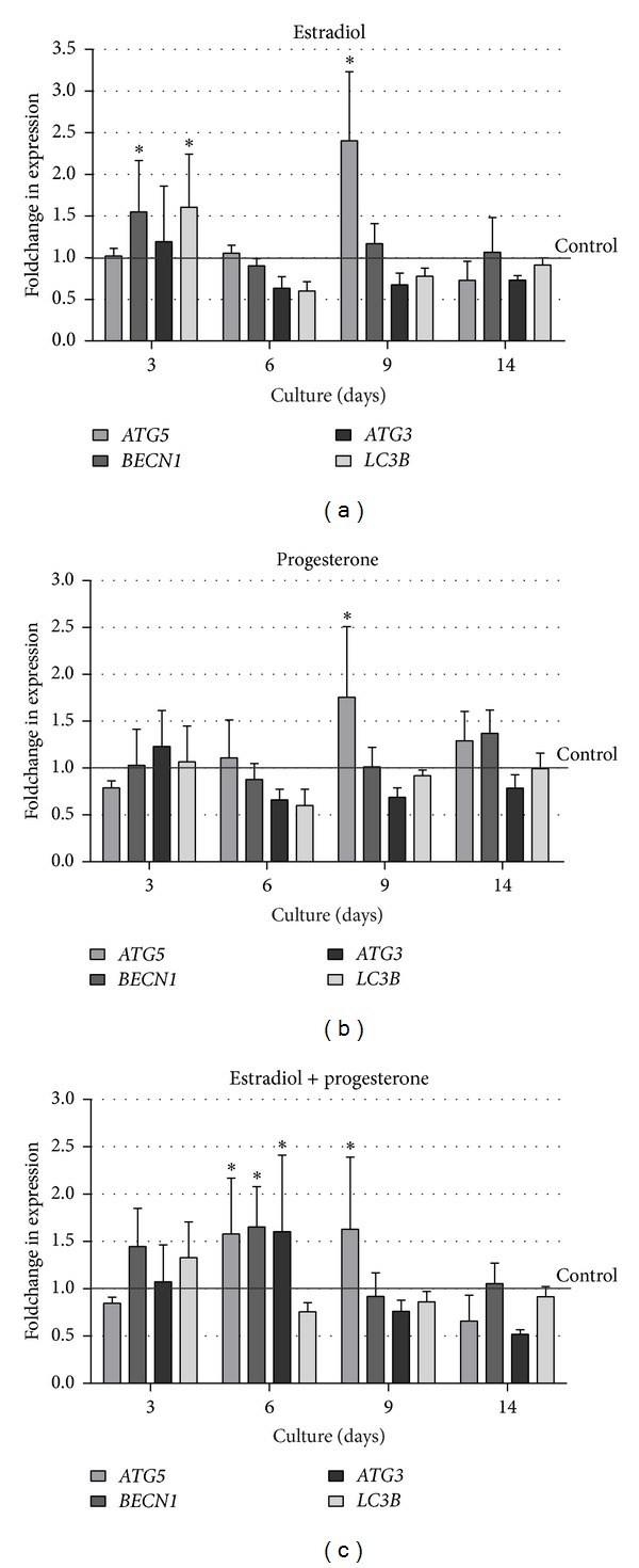 Figure 5