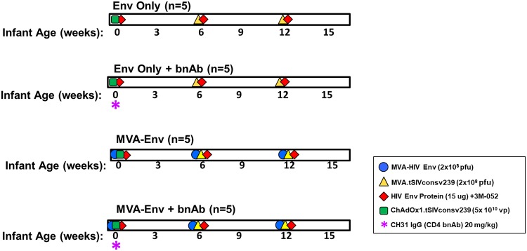 FIG 1