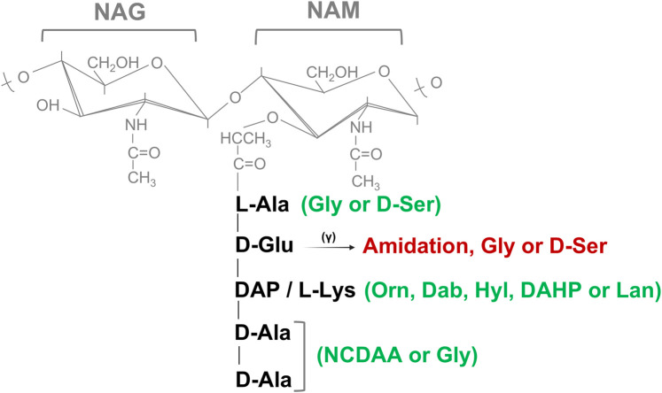 Figure 2.