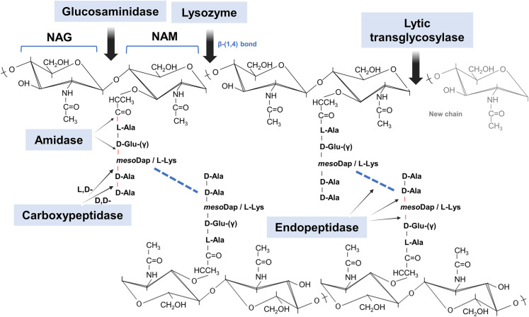 Figure 1.