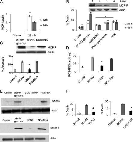 Figure 6