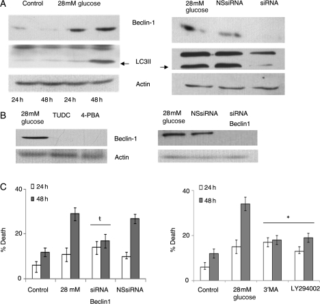 Figure 5