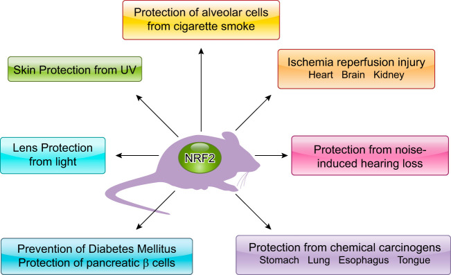 FIGURE 13.