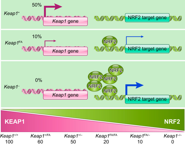 FIGURE 12.