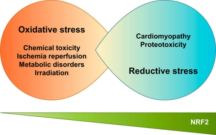 FIGURE 14.