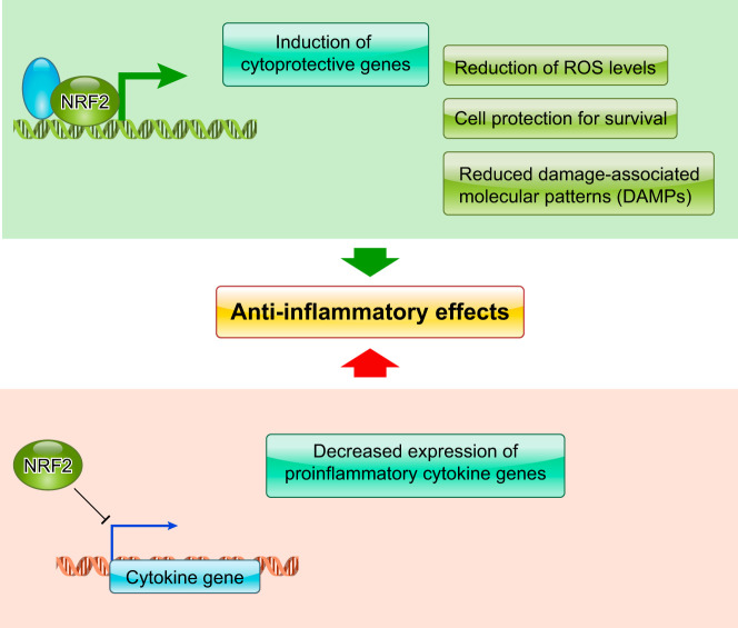 FIGURE 15.