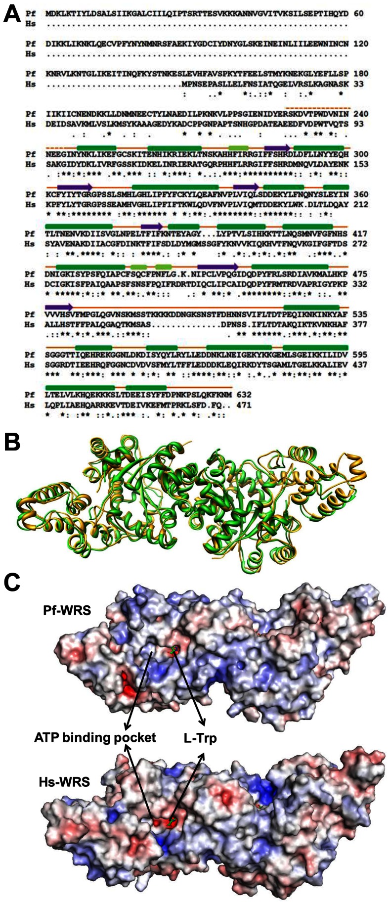 Figure 6