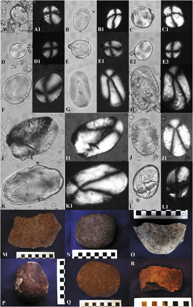 Fig. S3.