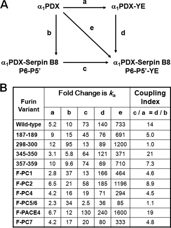 FIGURE 10.