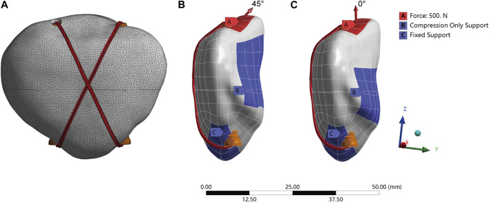 FIGURE 3