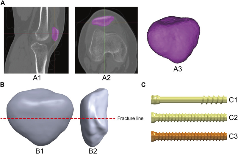 FIGURE 1